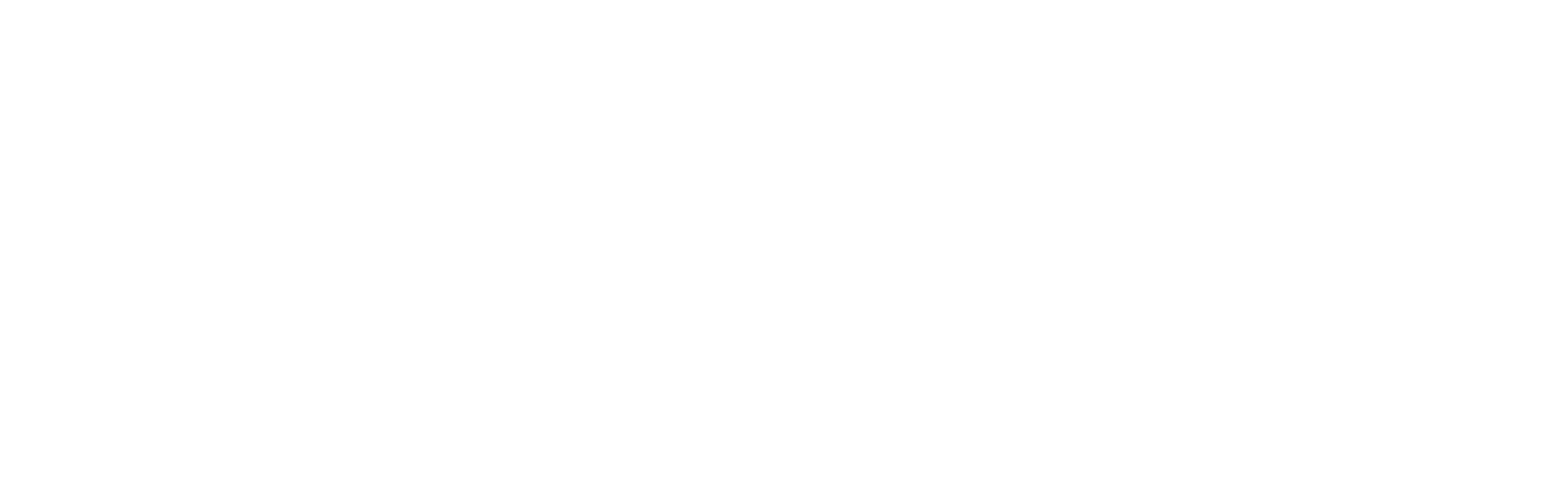 Elev8